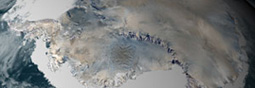 Il reste encore un frigo sur la planète