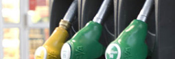 La démagogie du pétrole est en marche