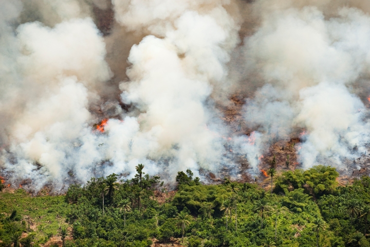 Déforestation par le feu en RDC © Daniel Beltra. Courtesy of The Princes Rainforests Project & Sony
